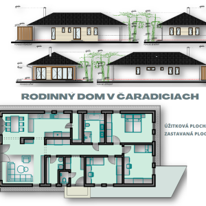 RD-CARADICE-1